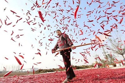 China Seeks to Rejuvenate Countryside With Rural Policy