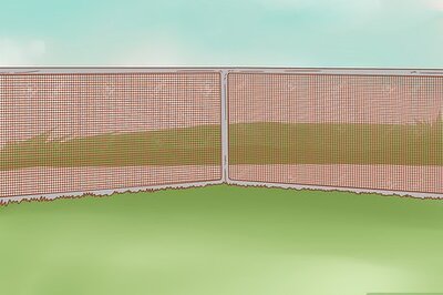 How to Introduce Your Kitten to the Outdoors Safely