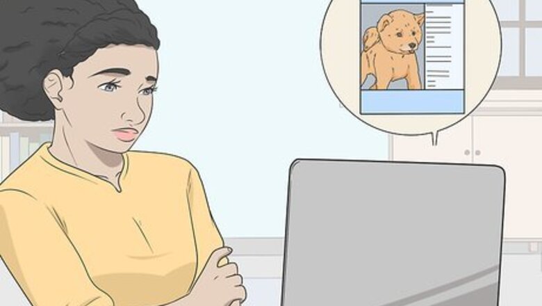 How to Advertise Dog Walking