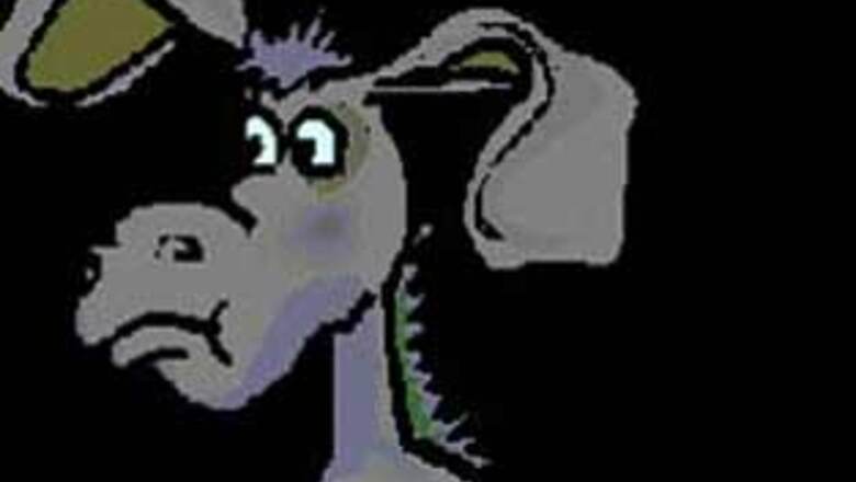 Donkeys ordered to wear diapers in Egypt