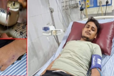 Is the Same Snake Biting Vikas Dwivedi? What Experts Say After UP Man's 7th Bite in 40 Days
