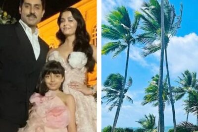 'Sun, Breeze, Paradise': Aishwarya, Abhishek in Maldives For Daughter Aaradhya's Birthday