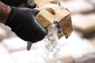 Mumbai Cruise Drugs Case: Court Sends 4 More Accused to NCB Custody Till Oct 11