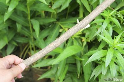 How to Make a Homemade Bow