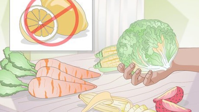 How to Make Hermit Crab Food