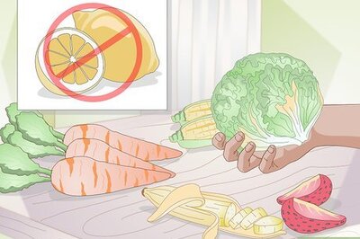 How to Make Hermit Crab Food