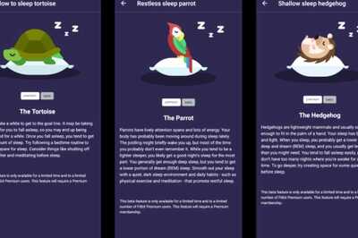 Fitbit Wants Its Users to Improve Their Sleep With New 'Sleep Animals' Feature
