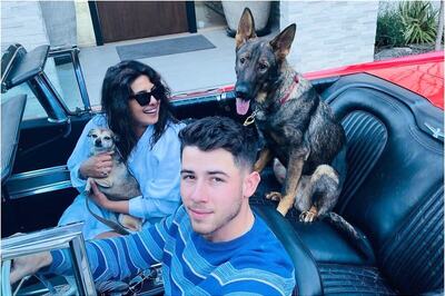 Priyanka Chopra, Nick Jonas All Set to Go on a Drive with Their Pet Fam