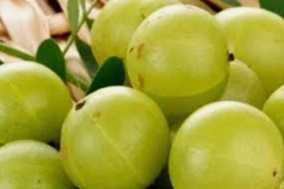 Five Types of Drinks Made with Amla that will Strengthen Immunity