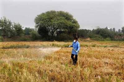 Delhi's Air Quality Continues to Be 'Very Poor', Likely to Improve Marginally Tomorrow