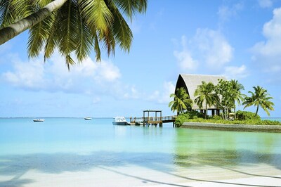 New Law or a 'Direct Attack' on Free Expression in Maldives