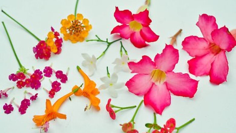 How to Perform Home Enfleurage