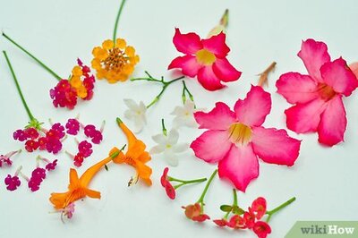 How to Perform Home Enfleurage