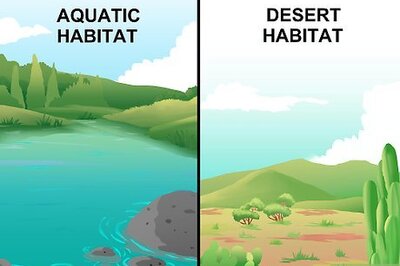 How to Draw a Food Web