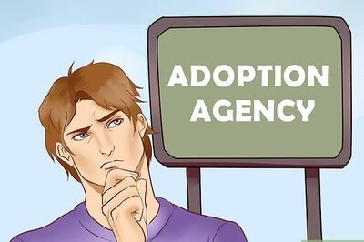 How to Adopt a Herding Dog