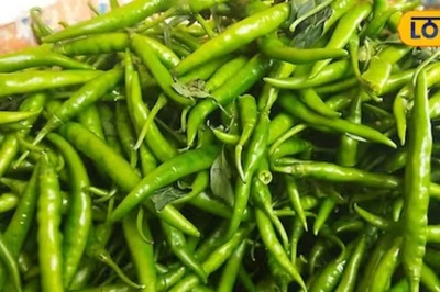 Five Foods to Avoid for Optimal Digestion and Delightful Taste