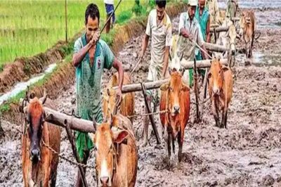 PM KISAN 11th Installment Likely Soon: Is eKYC Mandatory for Farmers to Get Rs 2,000?