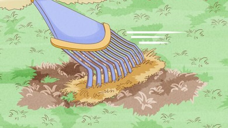 How to Repair a Bare Patch of Lawn