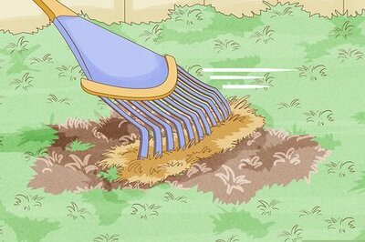 How to Repair a Bare Patch of Lawn
