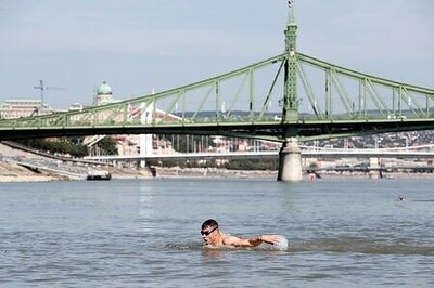 Hundreds Brave Fast-flowing Waters To Swim Across Danube River In Budapest