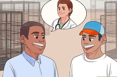 How to Find a Vet for Your Chinchilla
