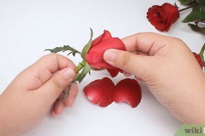 How to Make Rose Oil