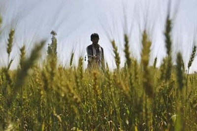 Delhi Govt to Introduce MSP for Farmers Based on Swaminathan Commission Report