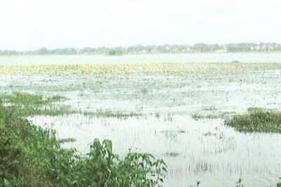 People Chip in to Revive Dharam Sagar Lake in MP