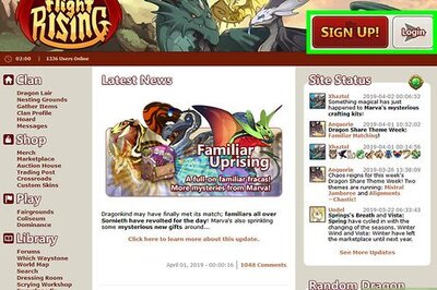 How to Play Flight Rising