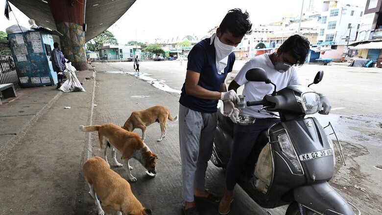 Ghaziabad Veterinary Department to Carry Out City's First Dog Census