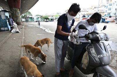 Ghaziabad Veterinary Department to Carry Out City's First Dog Census