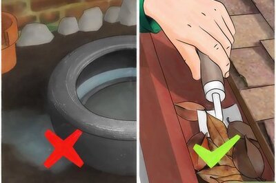 How to Control Mosquitoes