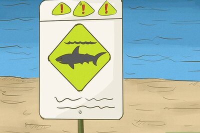 How to Avoid Sharks
