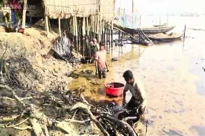 India on alert after massive oil spill in Sunderbans