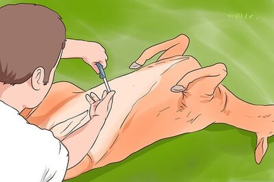 How to Get the Gamey Taste Out of Meat