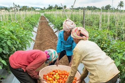 Transforming India: How Agriculture Sector & Farmers Are Getting Top Priority