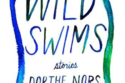 Review: New Story Collection By Danish Writer Dorthe Nors