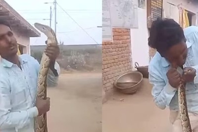 Watch: Man Plays With Python As If It's A Toy, Snake Strikes Back
