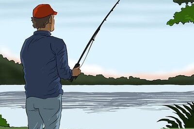 How to Fish