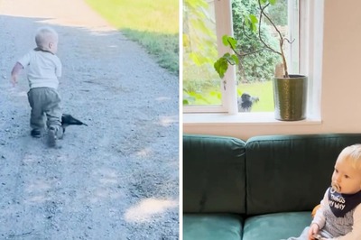 2-Year-Old Is Best Friends With A Crow And We Can't Stop Adoring Their Bond