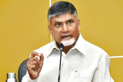 Chandrababu Naidu Stages Sit-in over Stone Pelting at Tirupati Rally, Accuses YSRCP for Attack