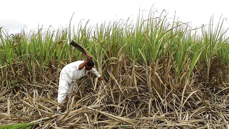 As Karnataka Readies to Announce Farm Loan Waiver, Data Shows Mill Owners as Real Villains
