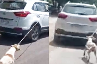 Jodhpur Doctor Chains Dog to Car, Drags Around City; Booked After Social Media Uproar | WATCH