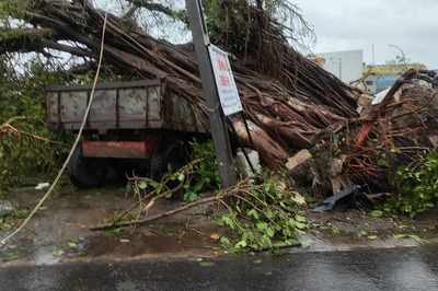 Over 18 Lakh Left Without Electricity in Maharashtra After Cyclone Tauktae Snaps Power Lines