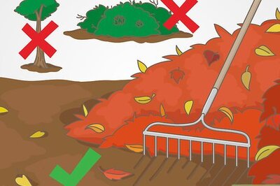 How to Build Dirt Jumps