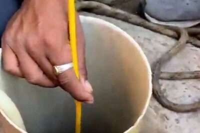 Toddler Dies After Falling into Borewell in Gujarat's Amreli