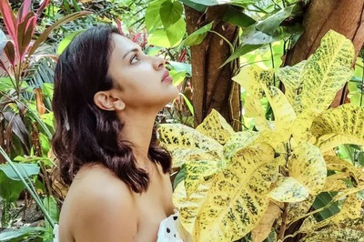 Fan Ask Qualifications to be Amala Paul’s Life Partner; Actress Reacts