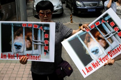 US Panel Passes Bill Asking China and India to Ban Dog, Cat Meat Trade