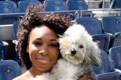 International Dog Day 2021: Signs You Need a Dog in Your Life