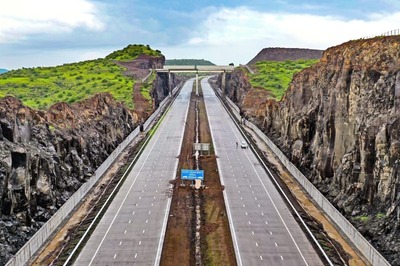 Bridging the Gap: Flyovers for Animals on Mumbai-Nagpur Highway | Know Man-made Idea of Protecting Wildlife